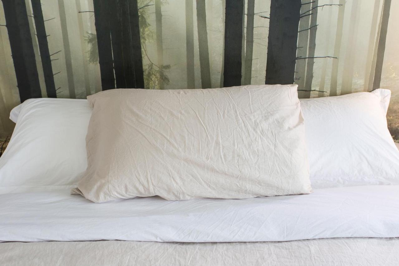 Couette-café Aqua&co - Eco Conscious *